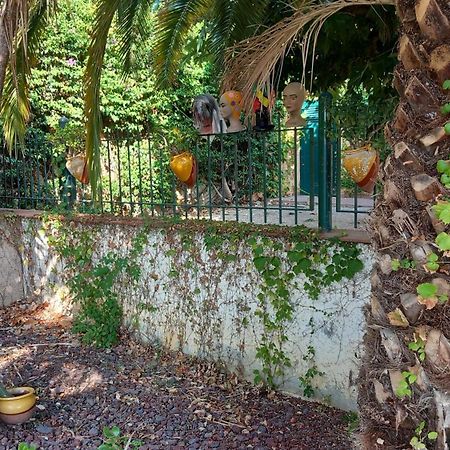 Suite & Spa Panoramic Olivars Pau Екстериор снимка